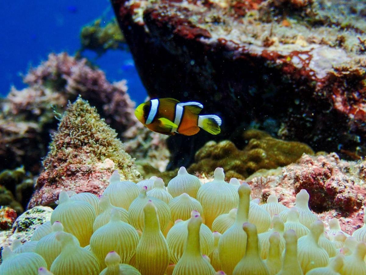 Iroukan Minamiizu Esterno foto